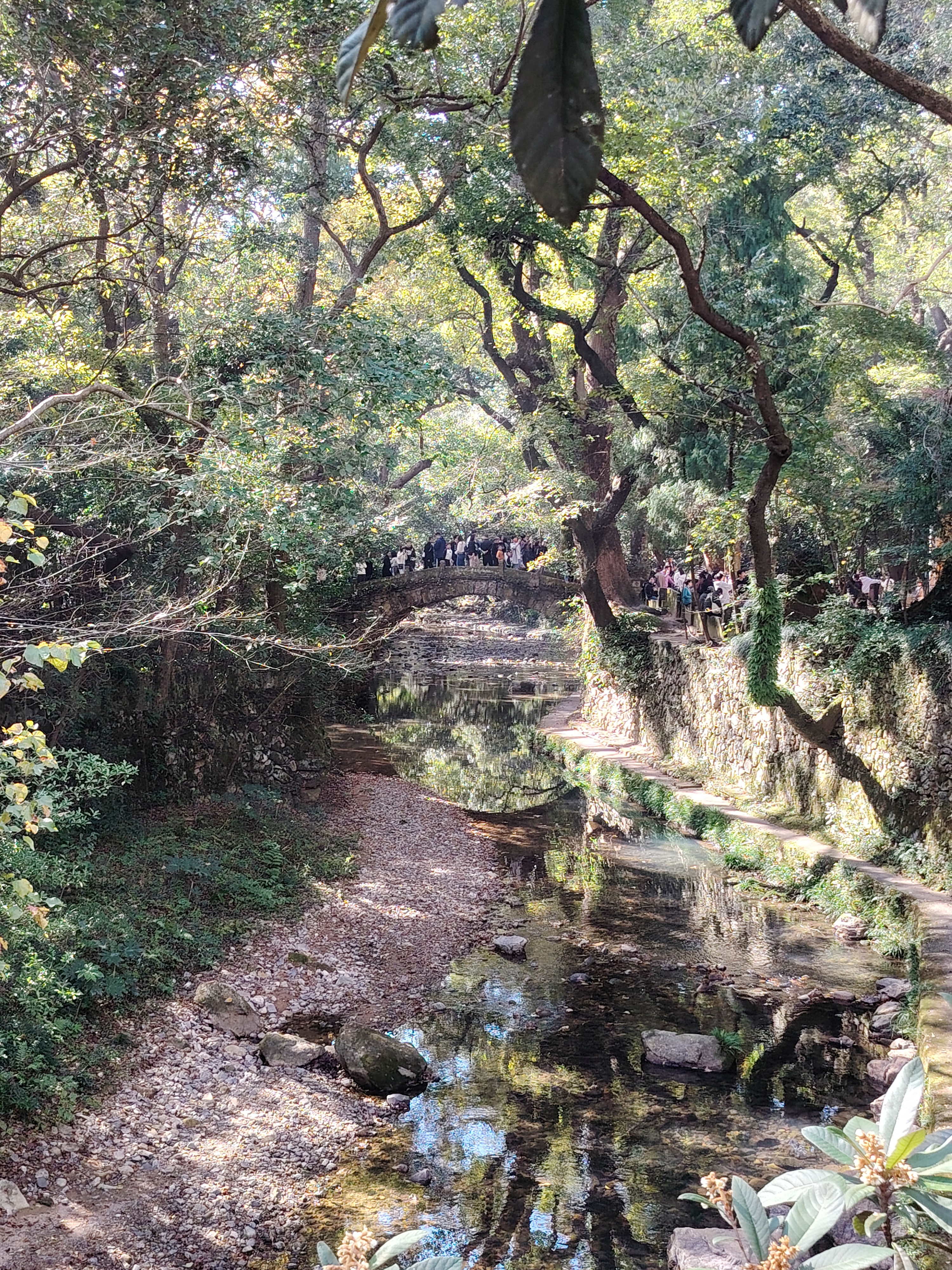 漫步国清寺