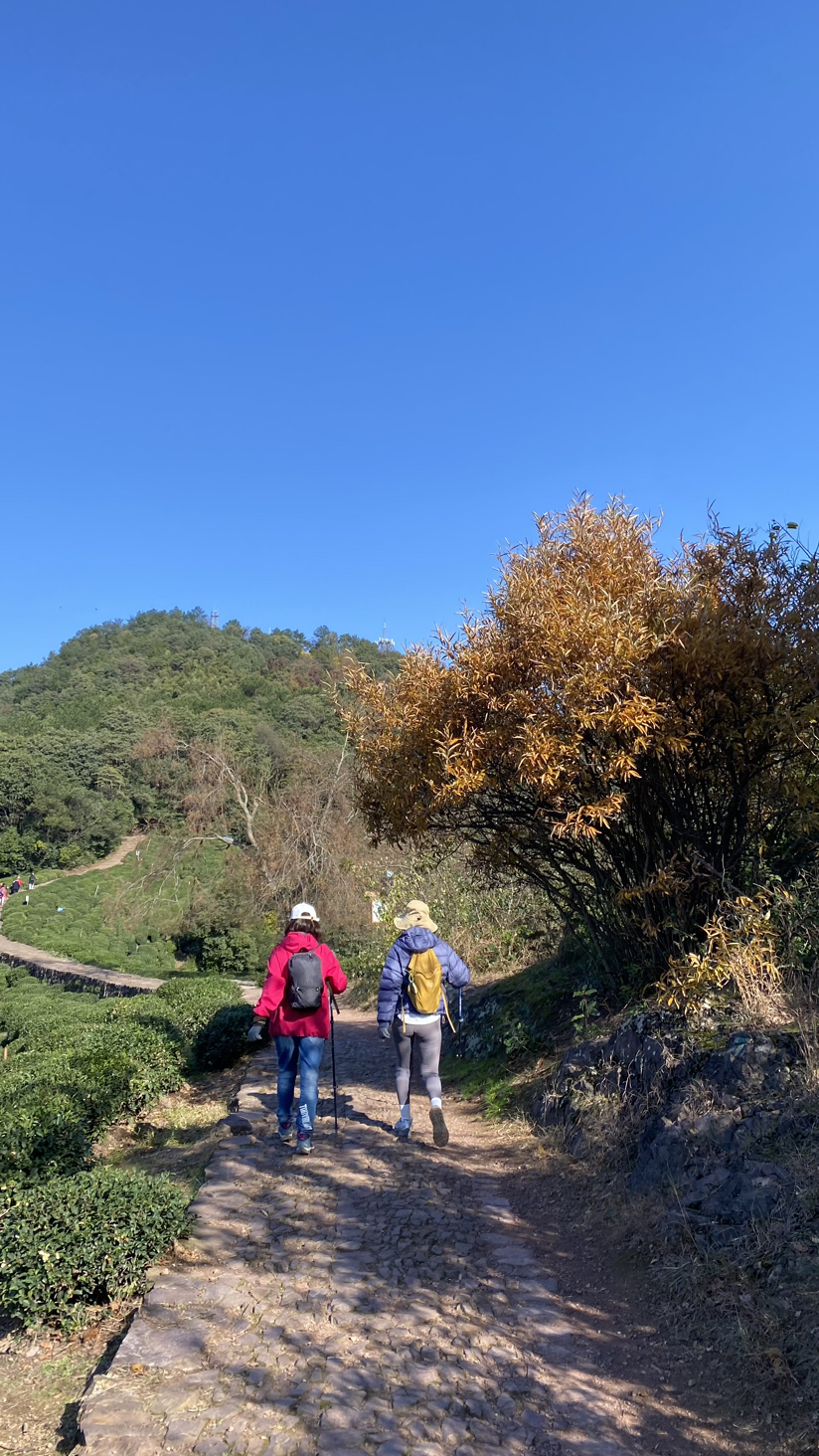 西湖群山半日游