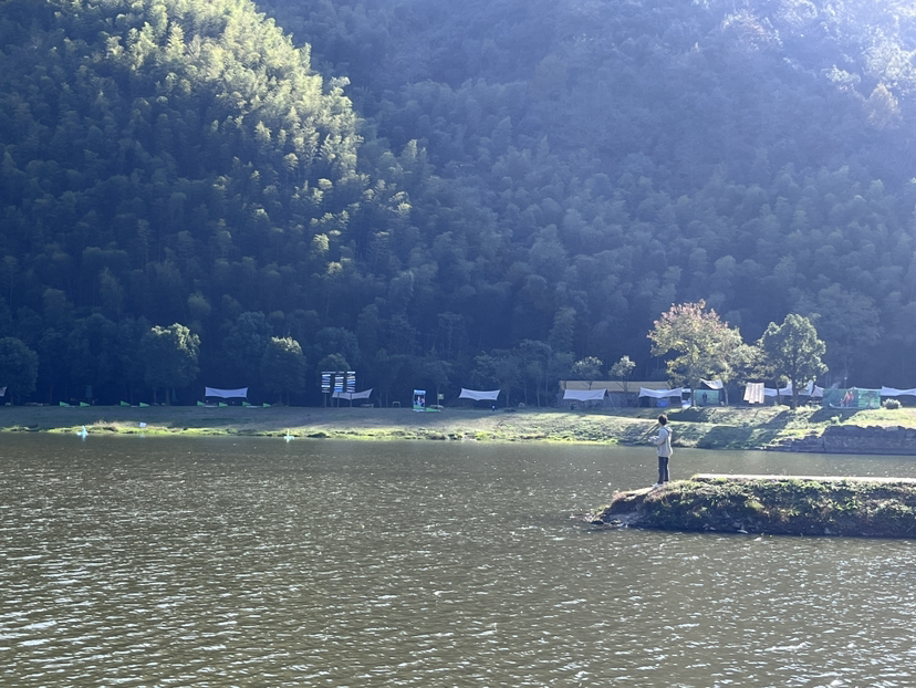 赏十里银杏 感岁月流转