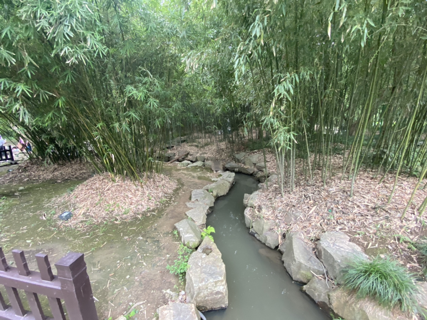 兰亭游