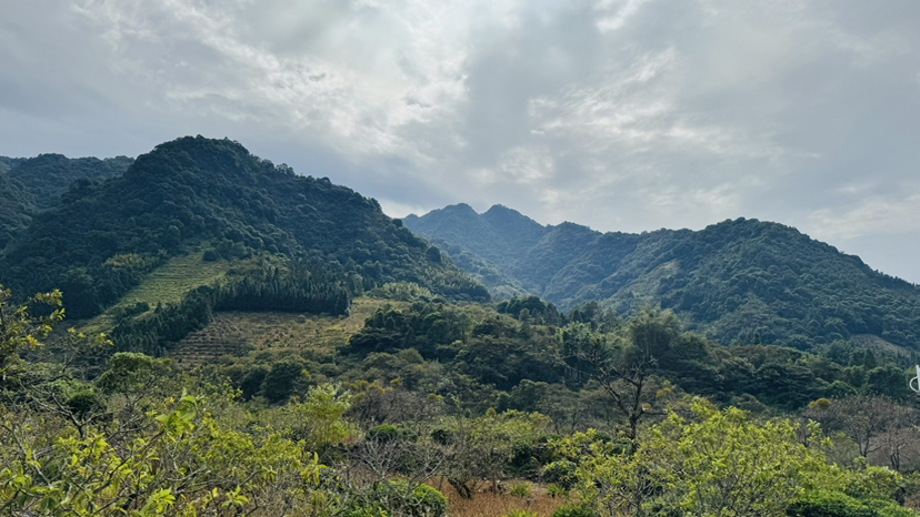 桂峰山的嘎嘎乐