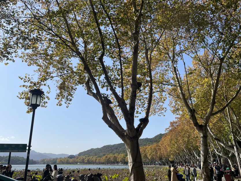 秋天的西湖北山街