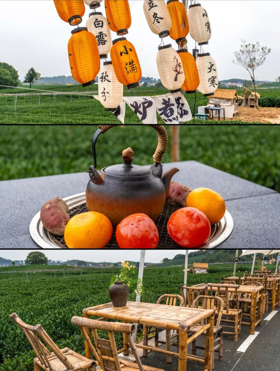 杭州龙坞茶山