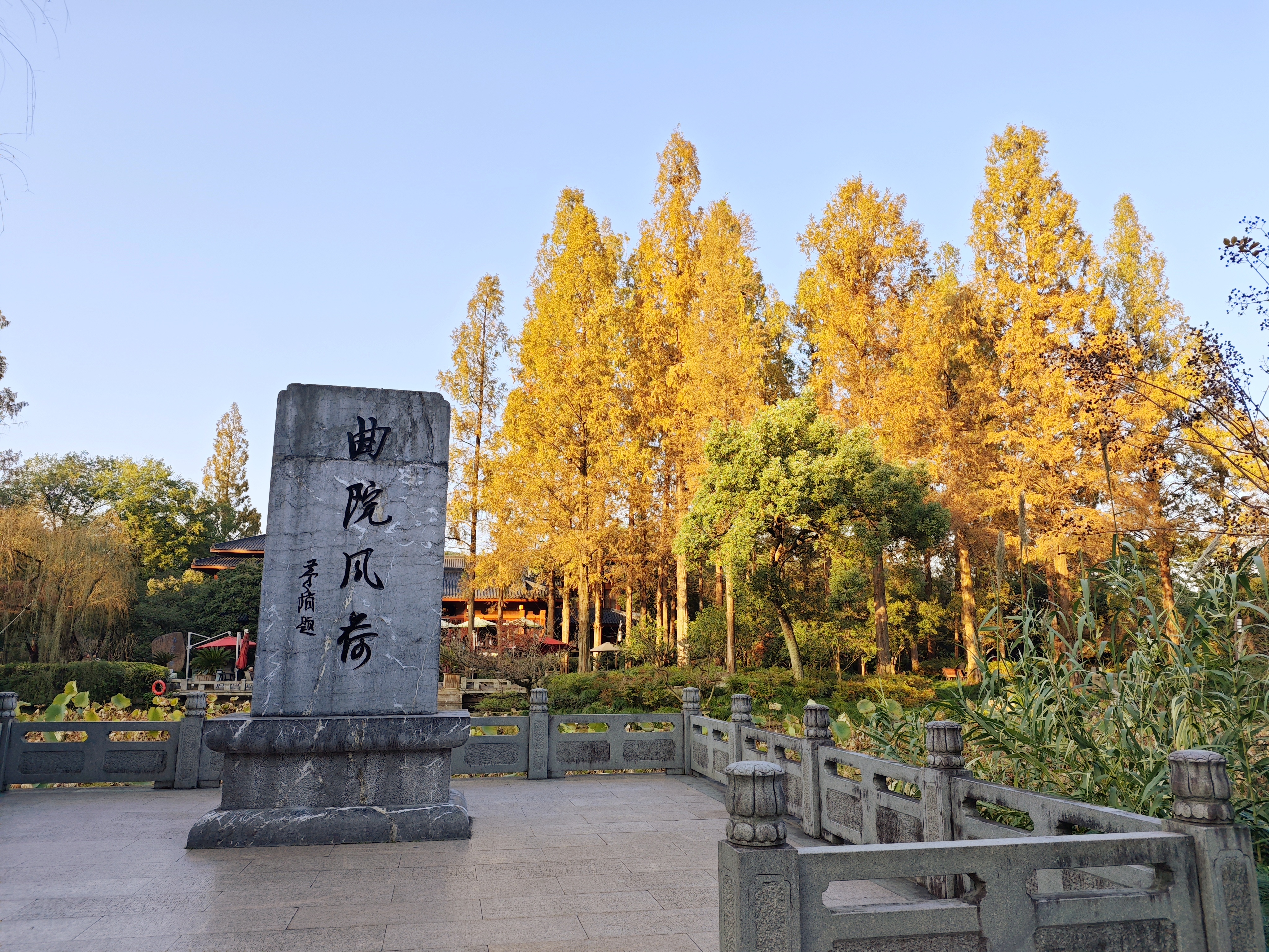 秋游西湖