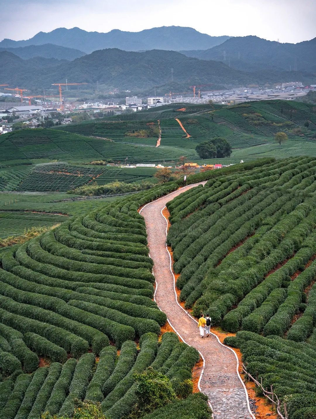 杭州龙坞茶山