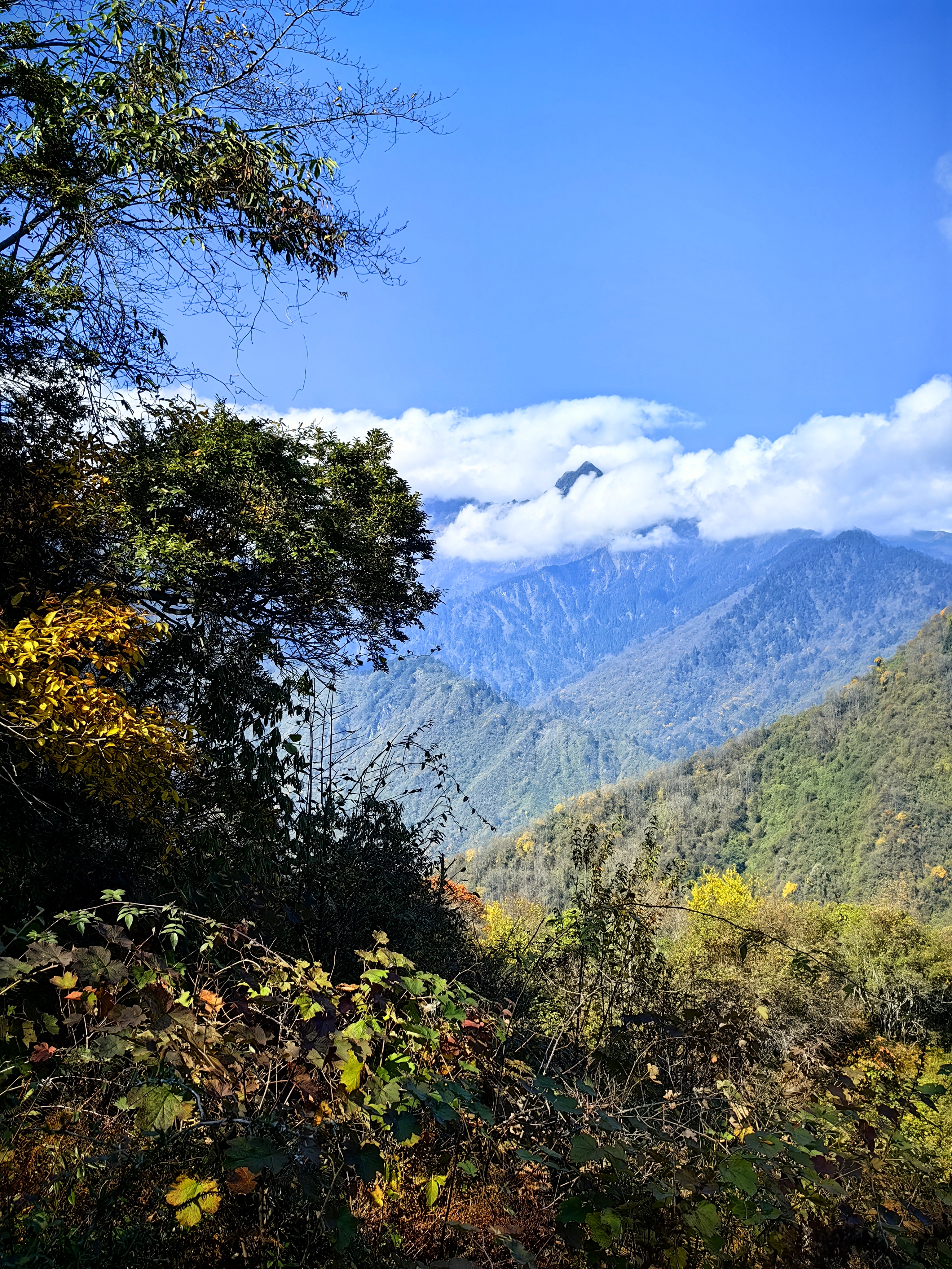漂亮四川推荐地