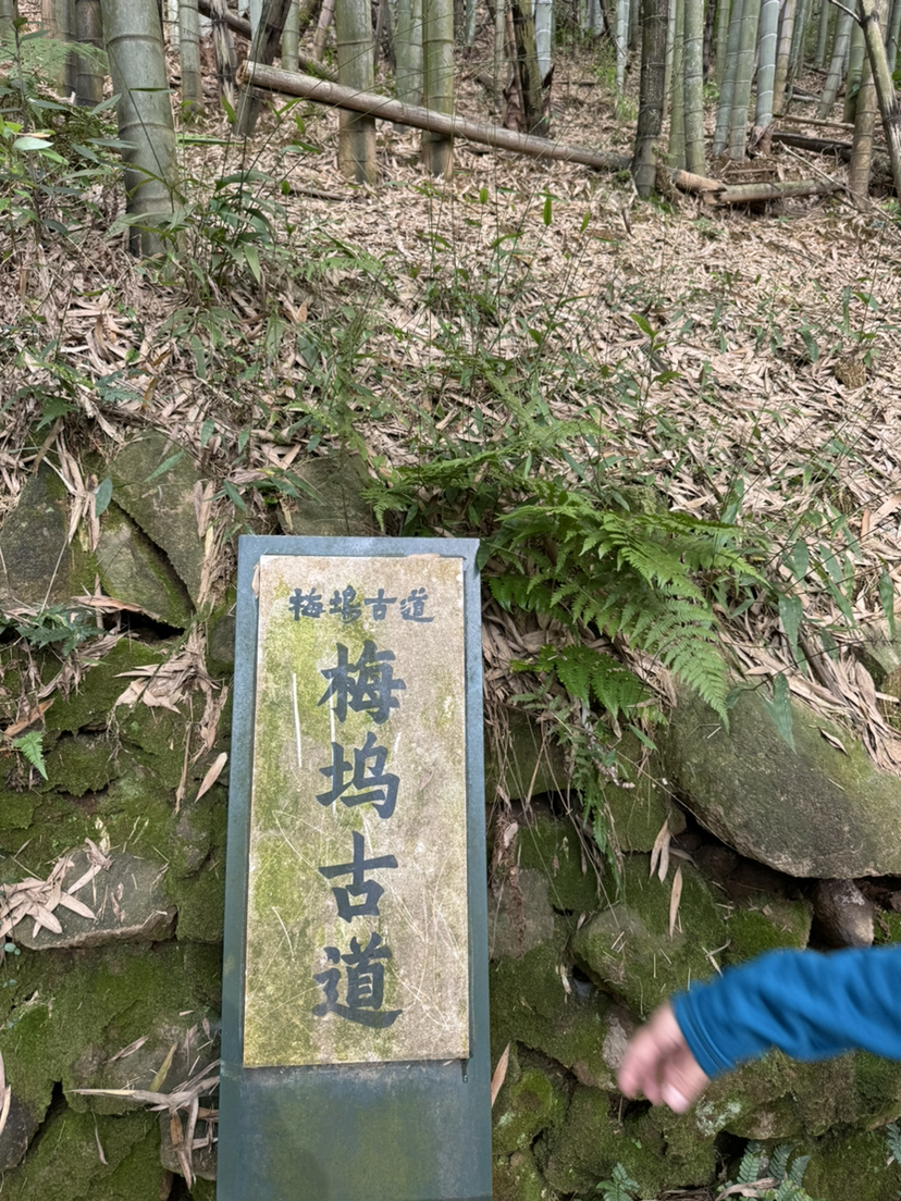 遇到上虞秋季的童话