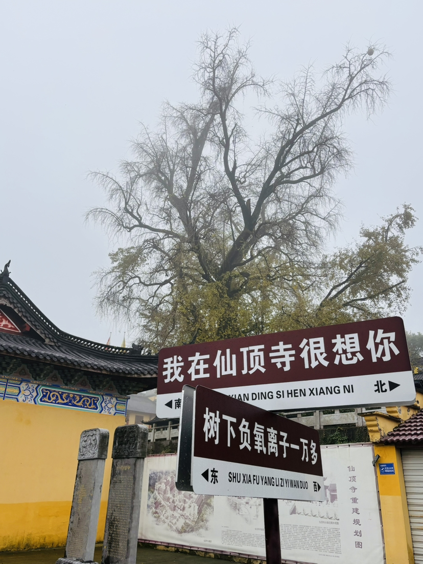 南朝四百八十寺,多少楼台烟雨中