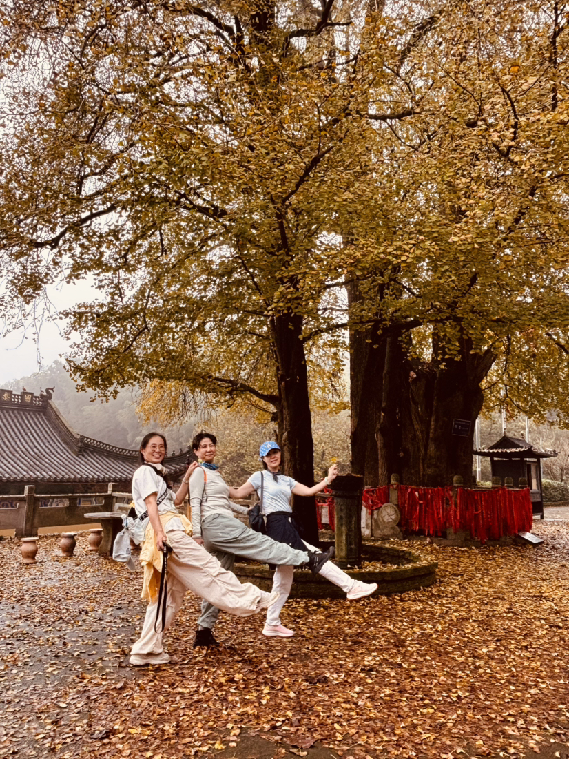南朝四百八十寺,多少楼台烟雨中