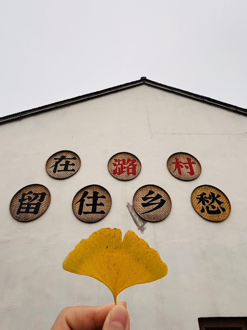 南朝四百八十寺,多少楼台烟雨中