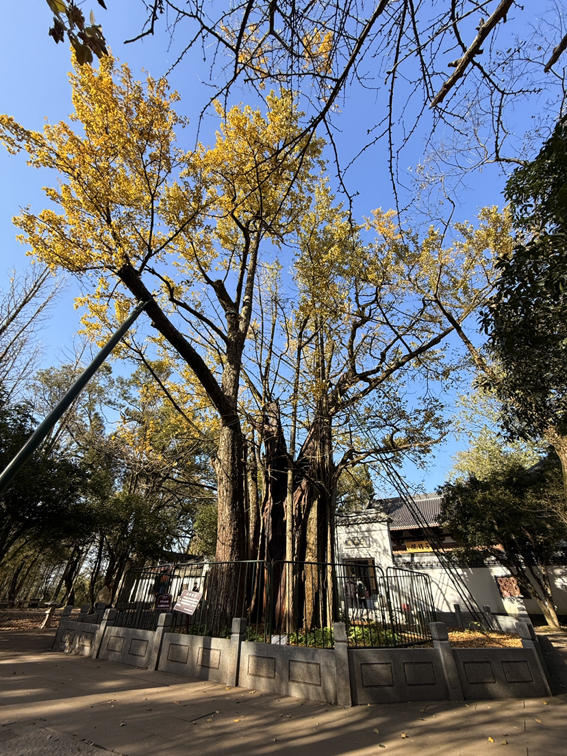 西湖群山