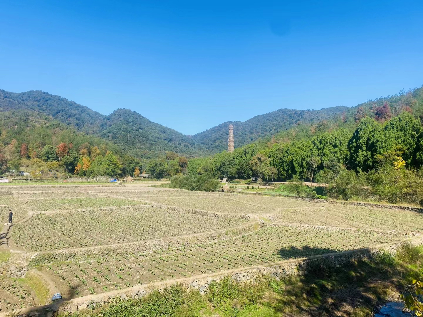 闲居天台国清寺