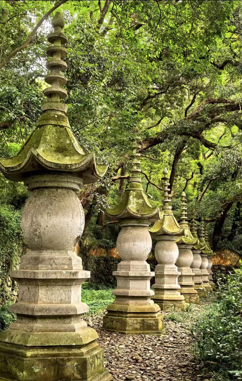 闲居天台国清寺