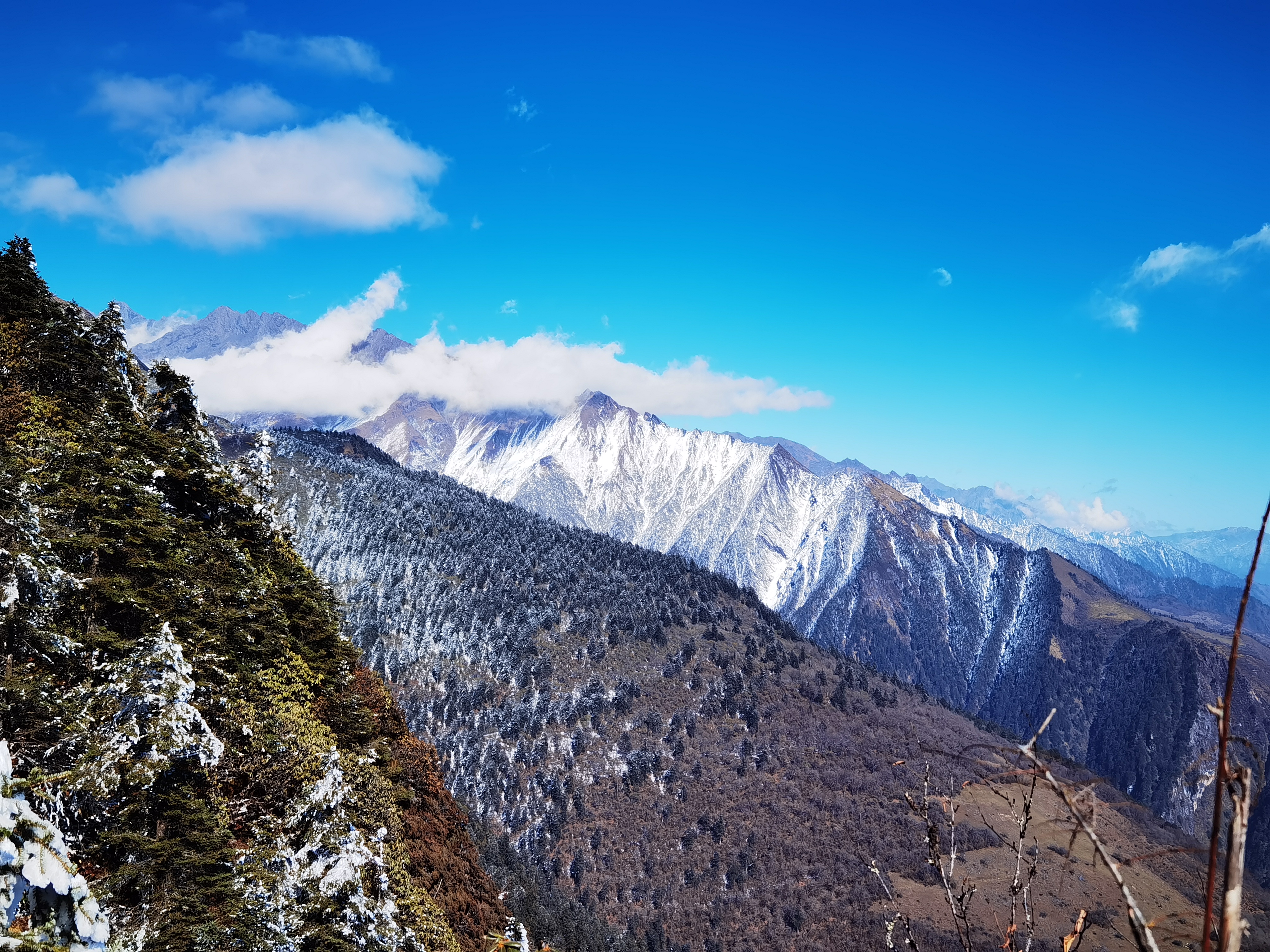 川西的雪山