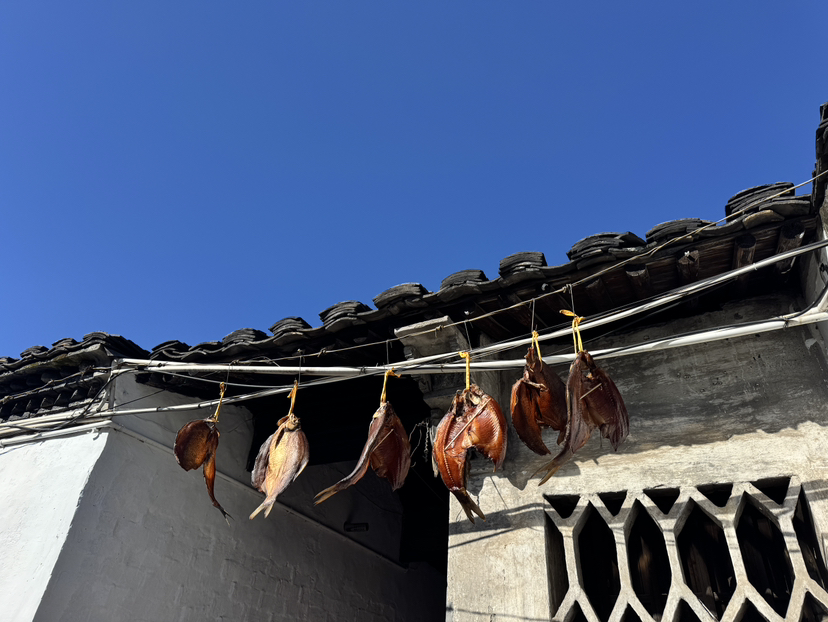 第好几次游绍兴之旅