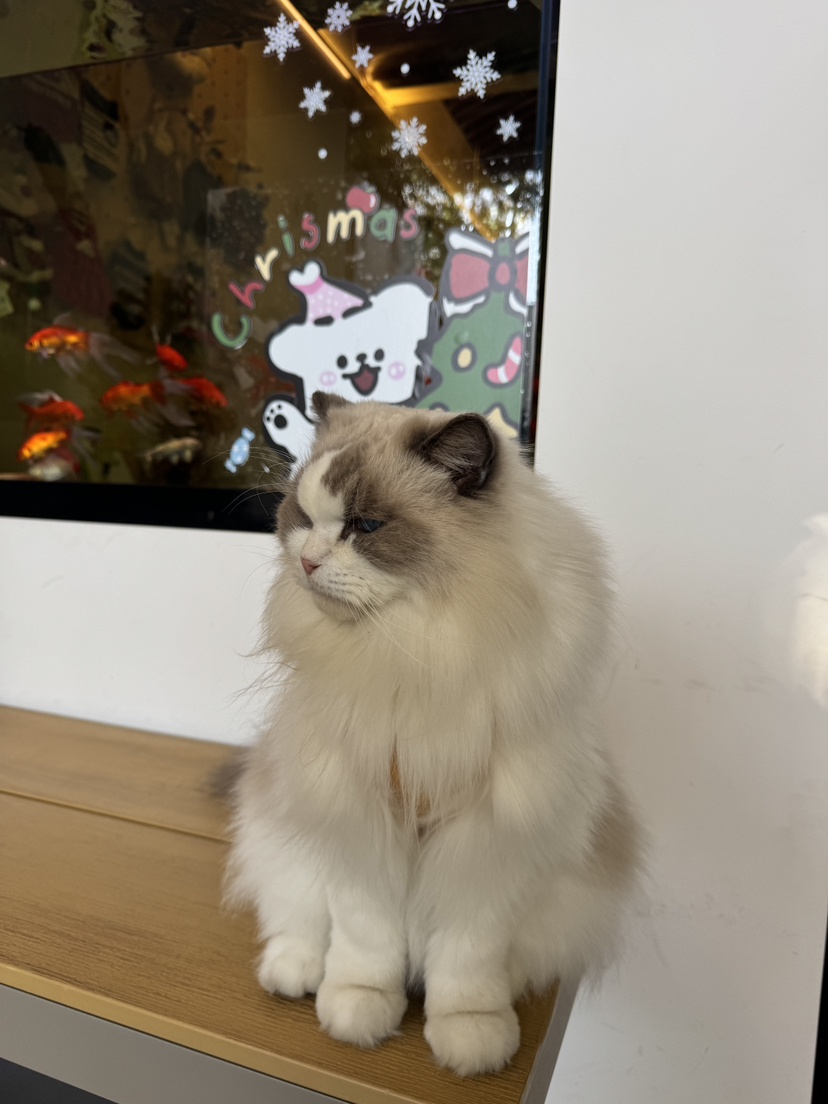 第好几次游绍兴之旅