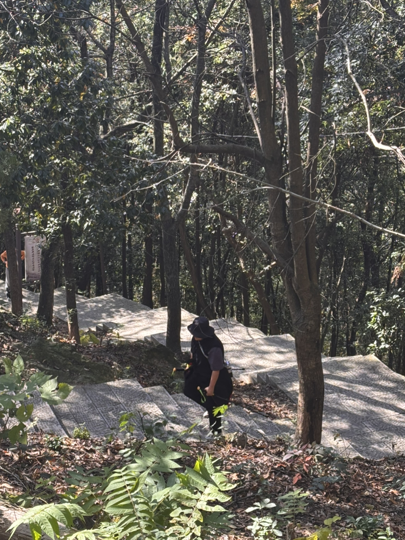 打卡“江南悬空寺”和西湖的“姐妹湖”