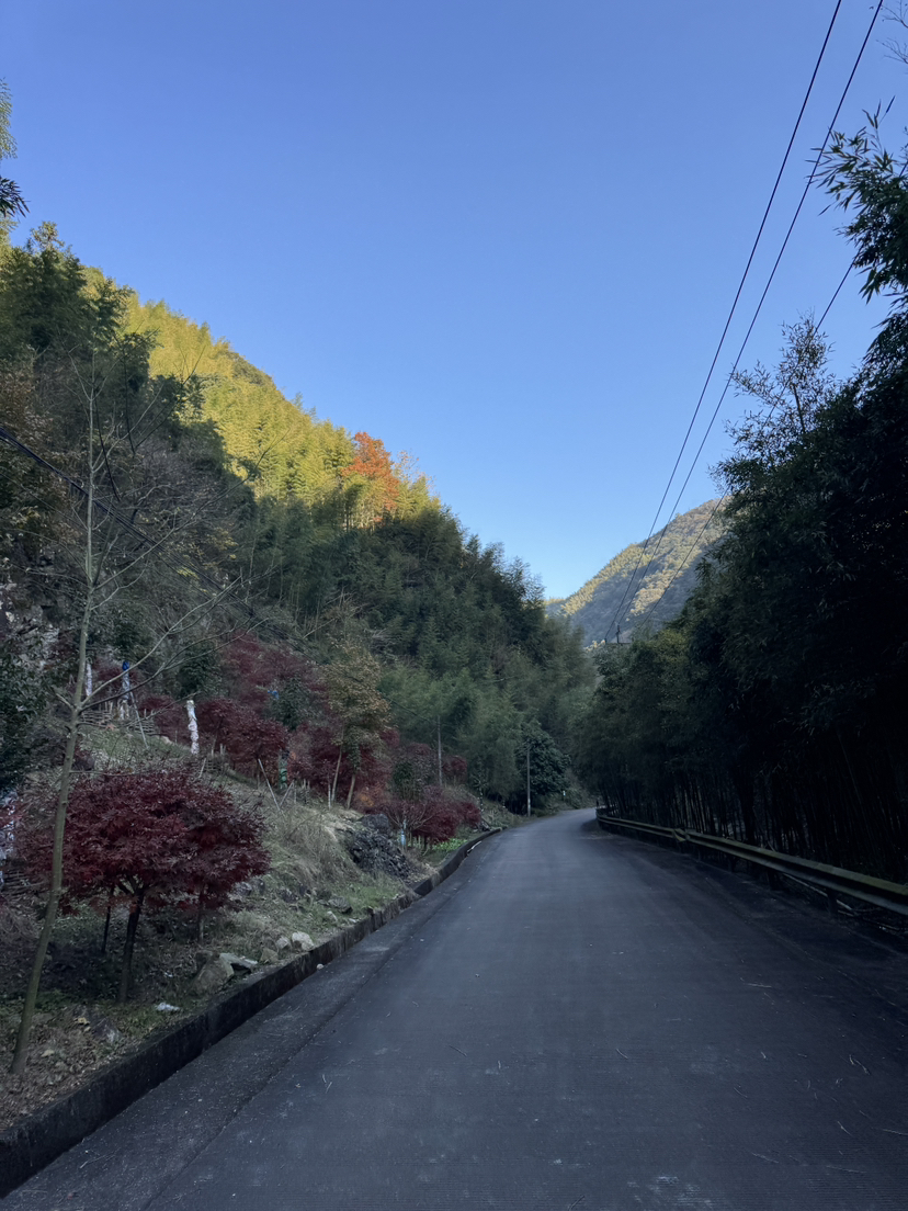 七连坑