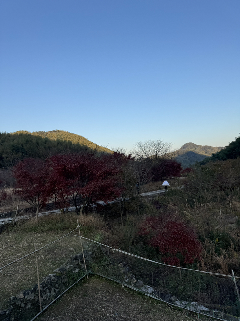 七连坑