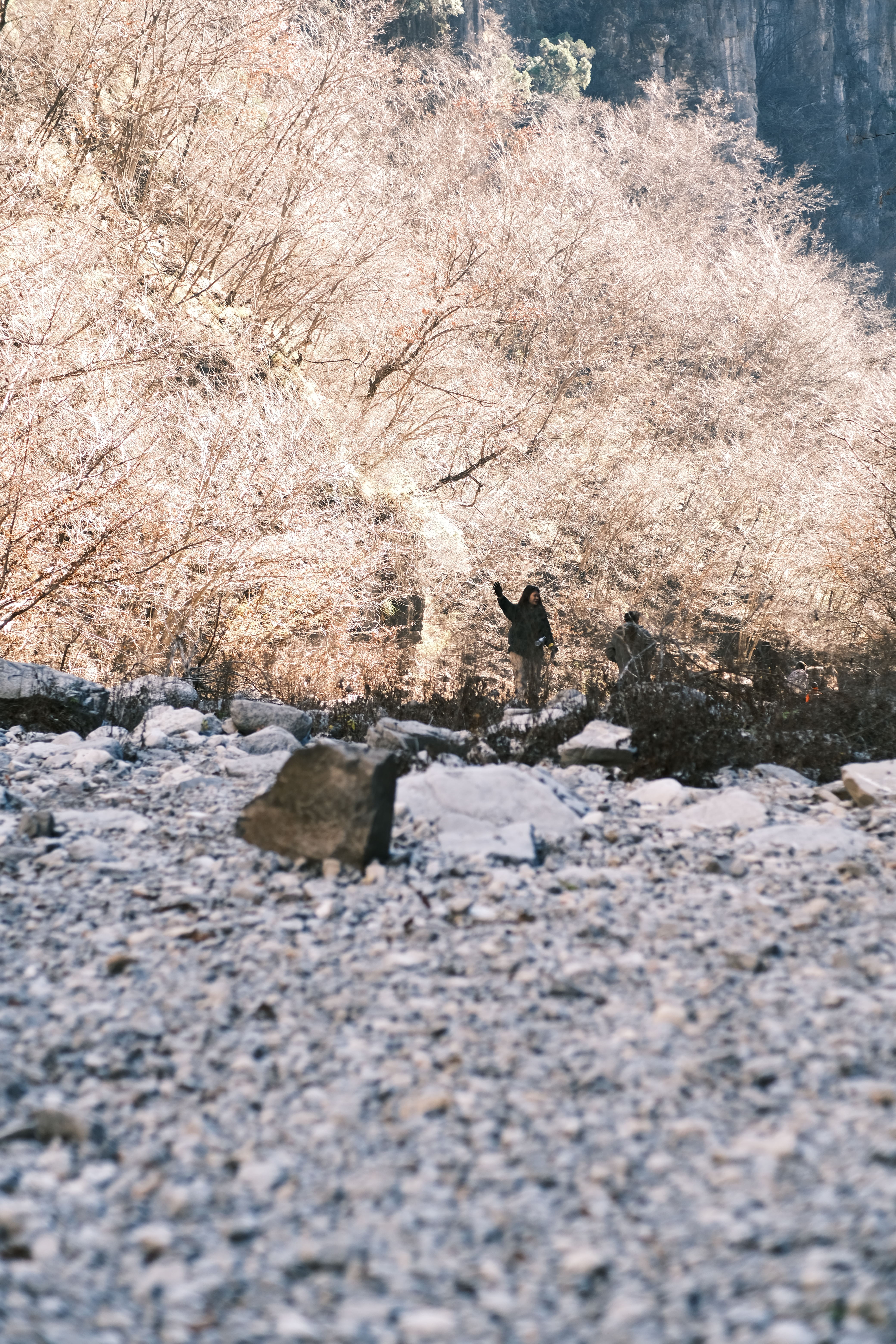 琵琶河大峡谷