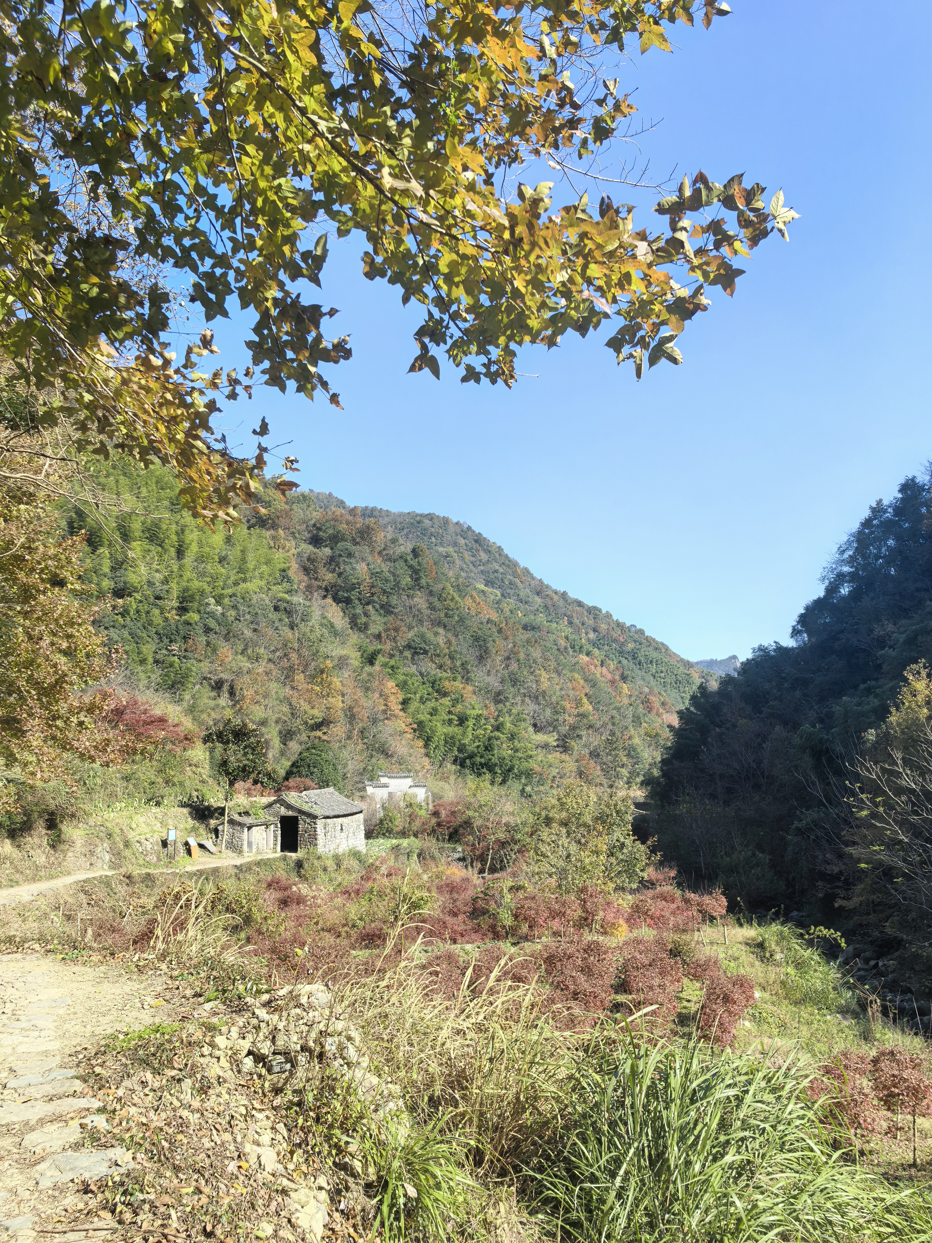 2024.11.30秋染 栖霞坑古道
