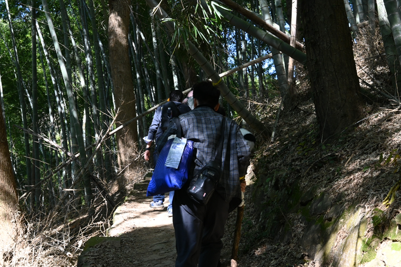 20241201天童寺