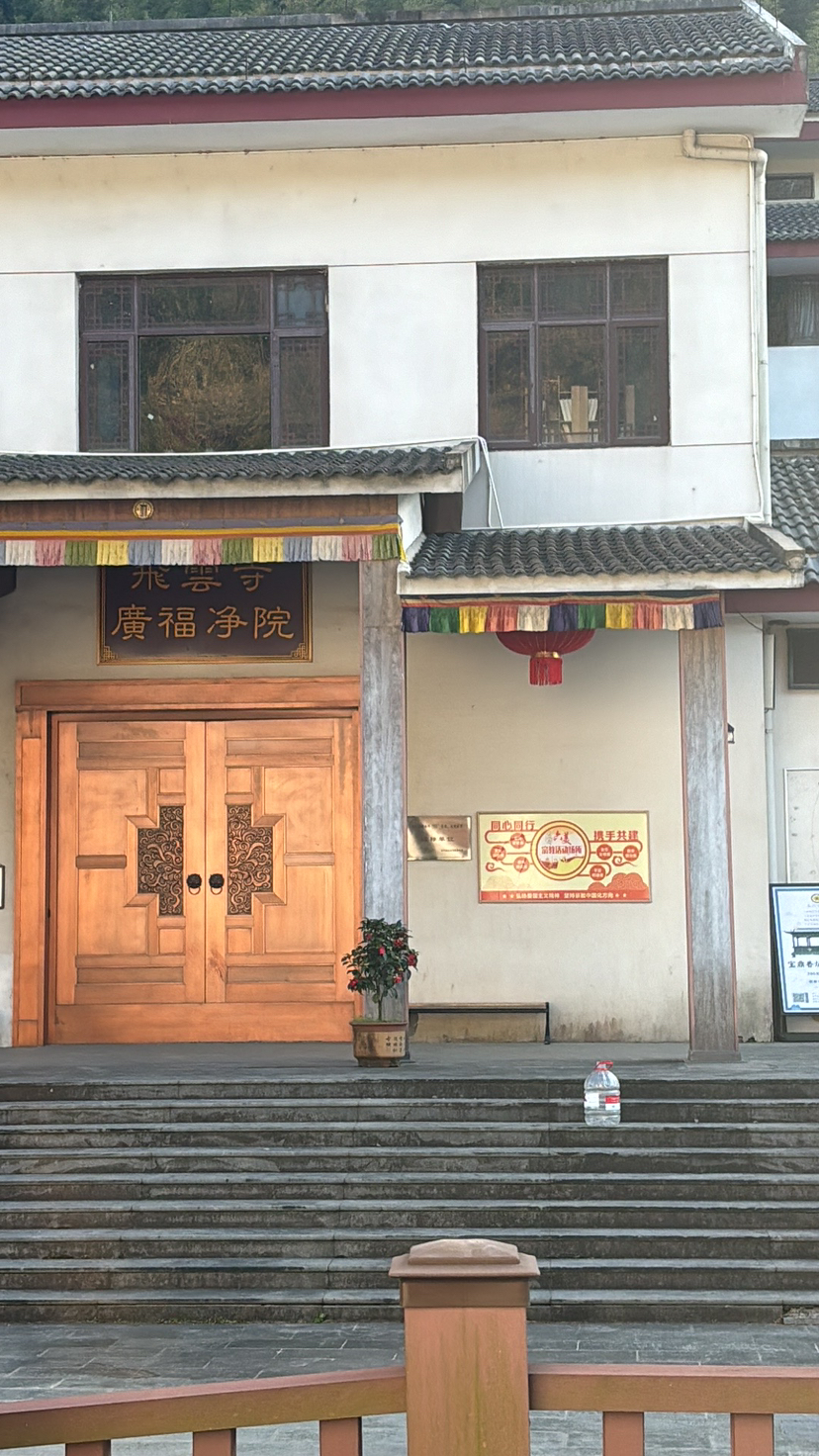 去见一棵树吧