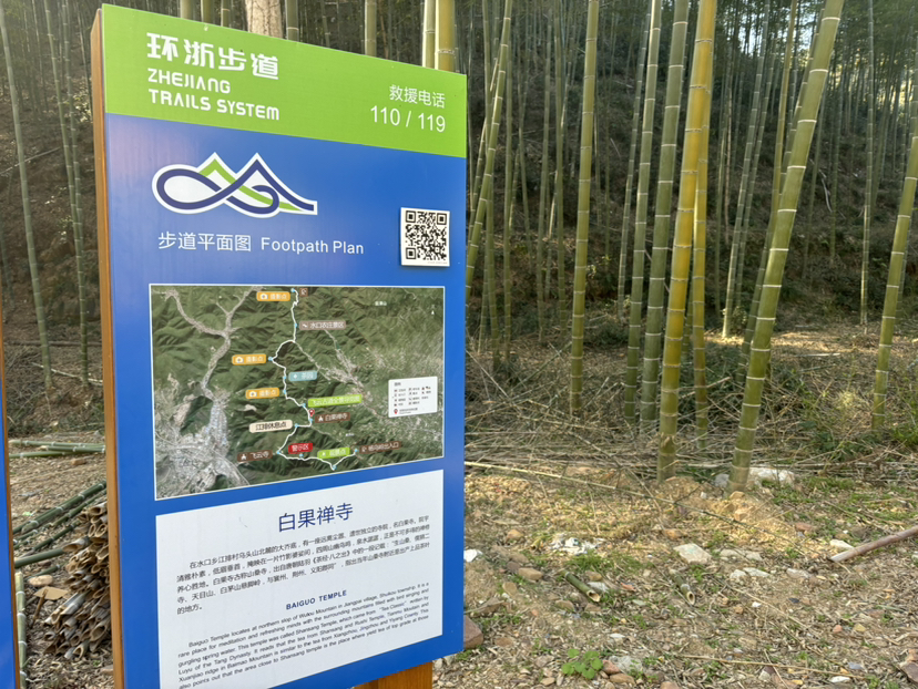 去见一棵树吧
