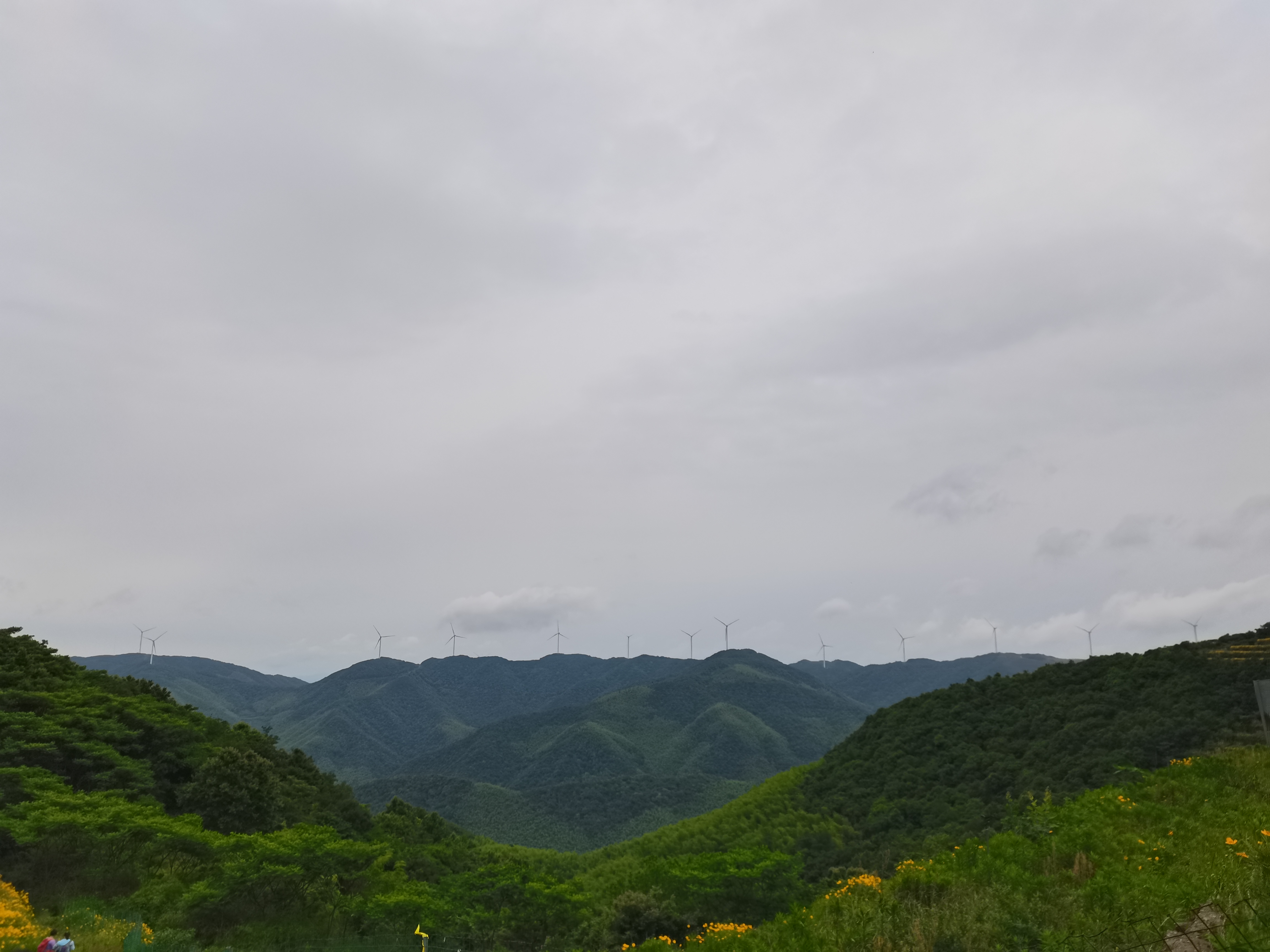 宁波最好看的风车公路