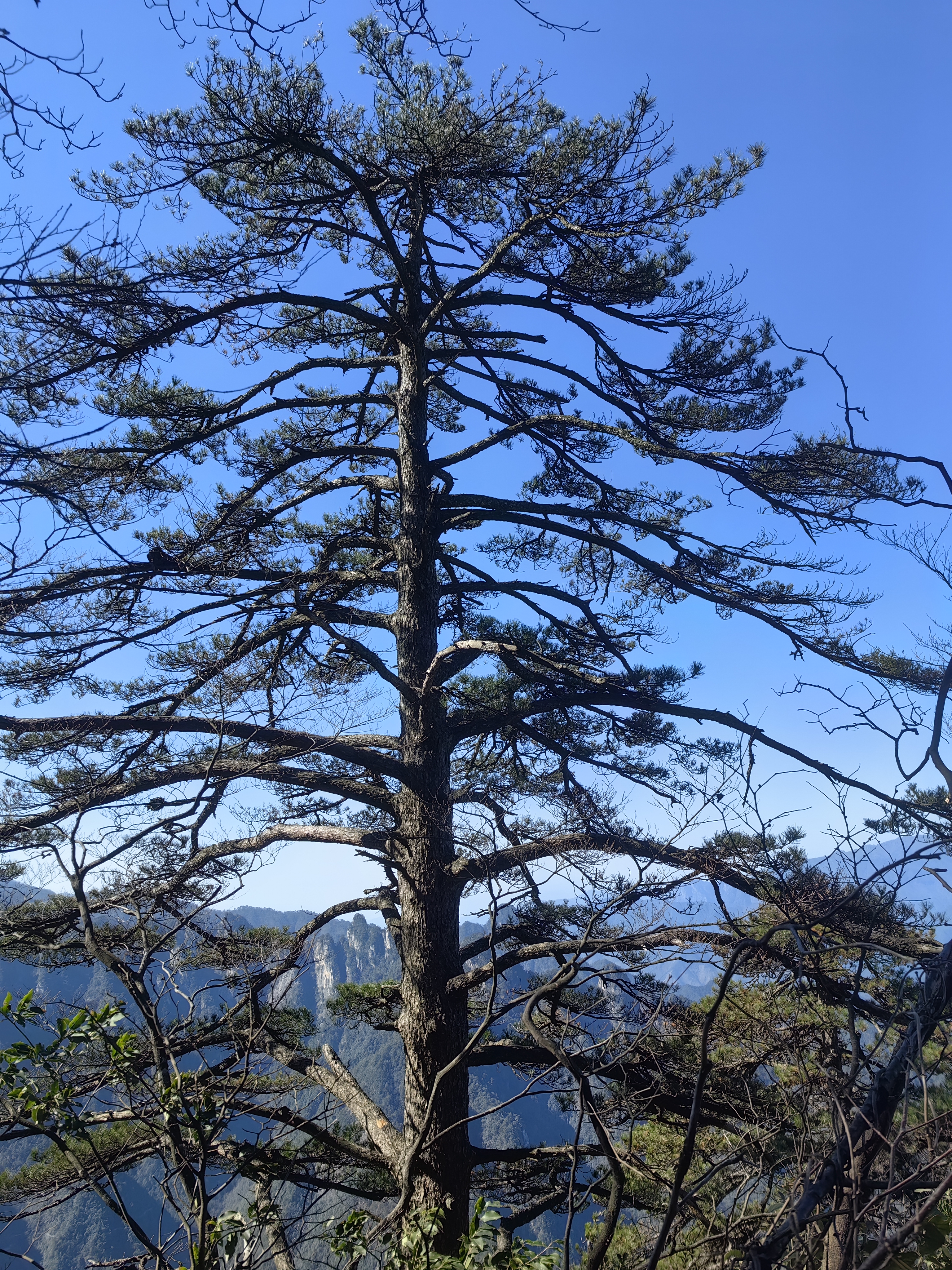 大明山
