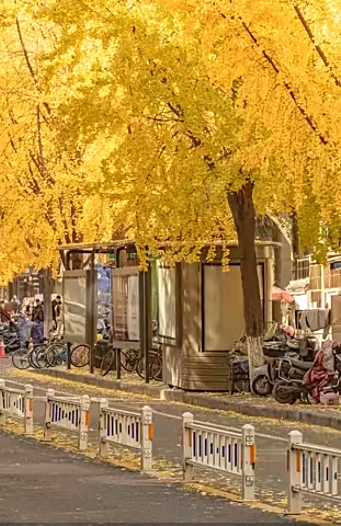 靓丽的风景线