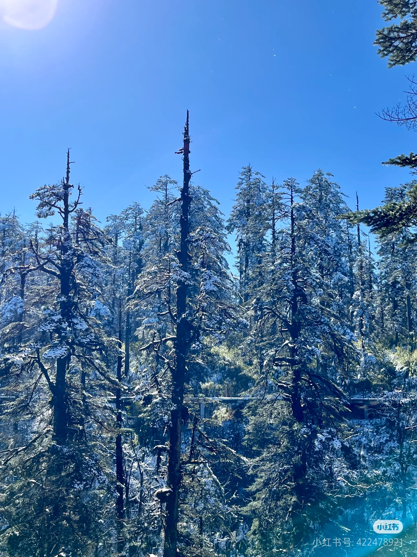瓦屋山之冬
