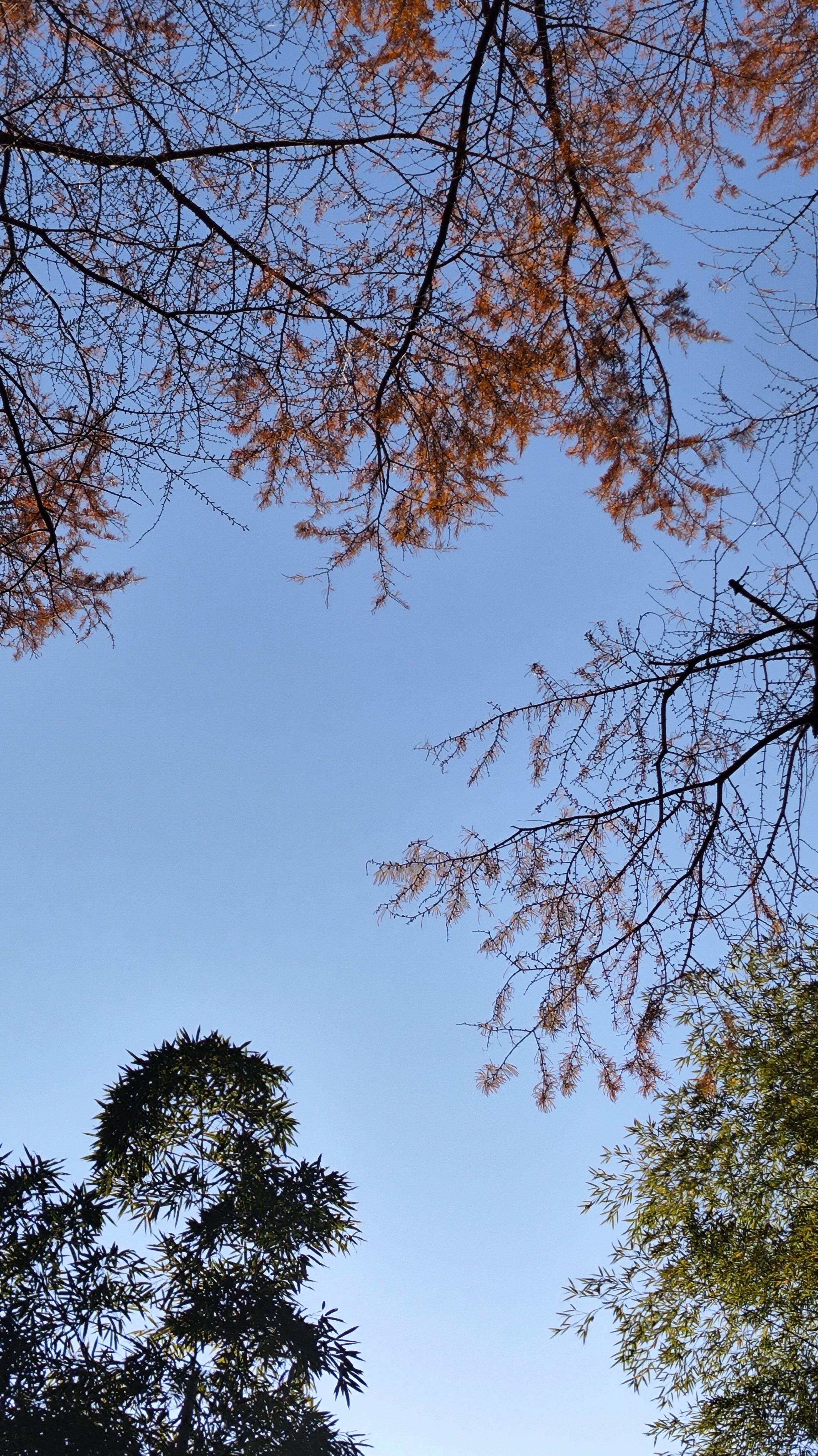 旅行,冬山河亲水公园旅游攻略