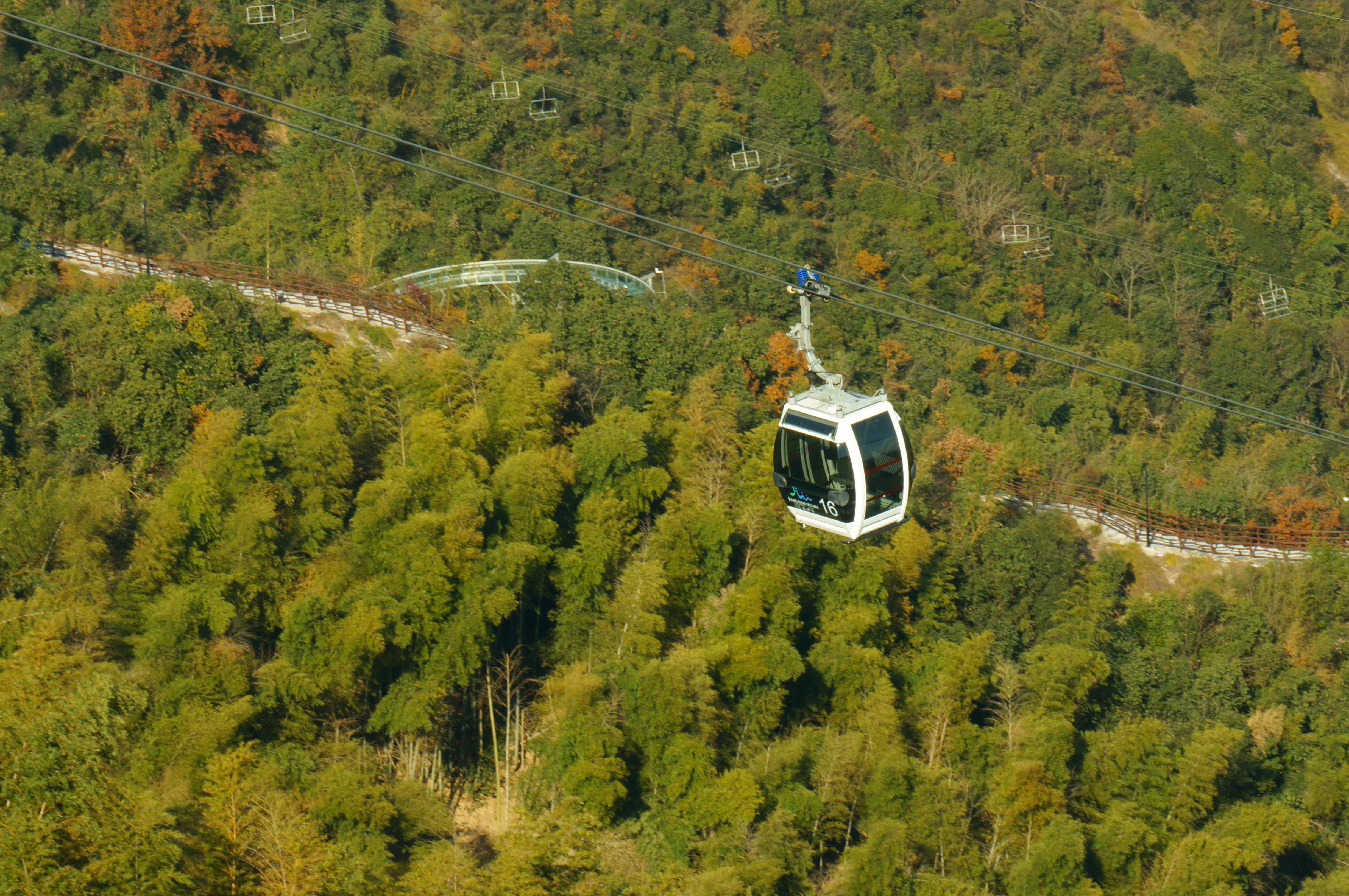 N刷莫干山•葛岭仙境次次有惊喜