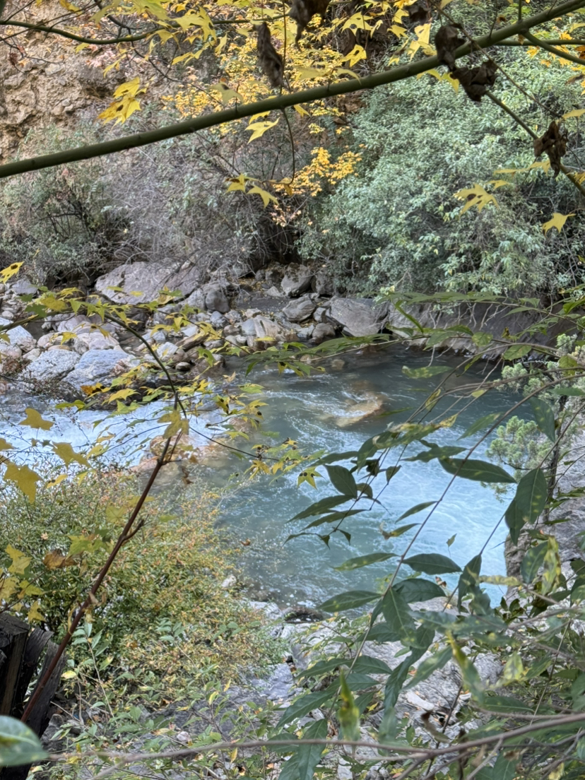 天堂在左，雨崩在右