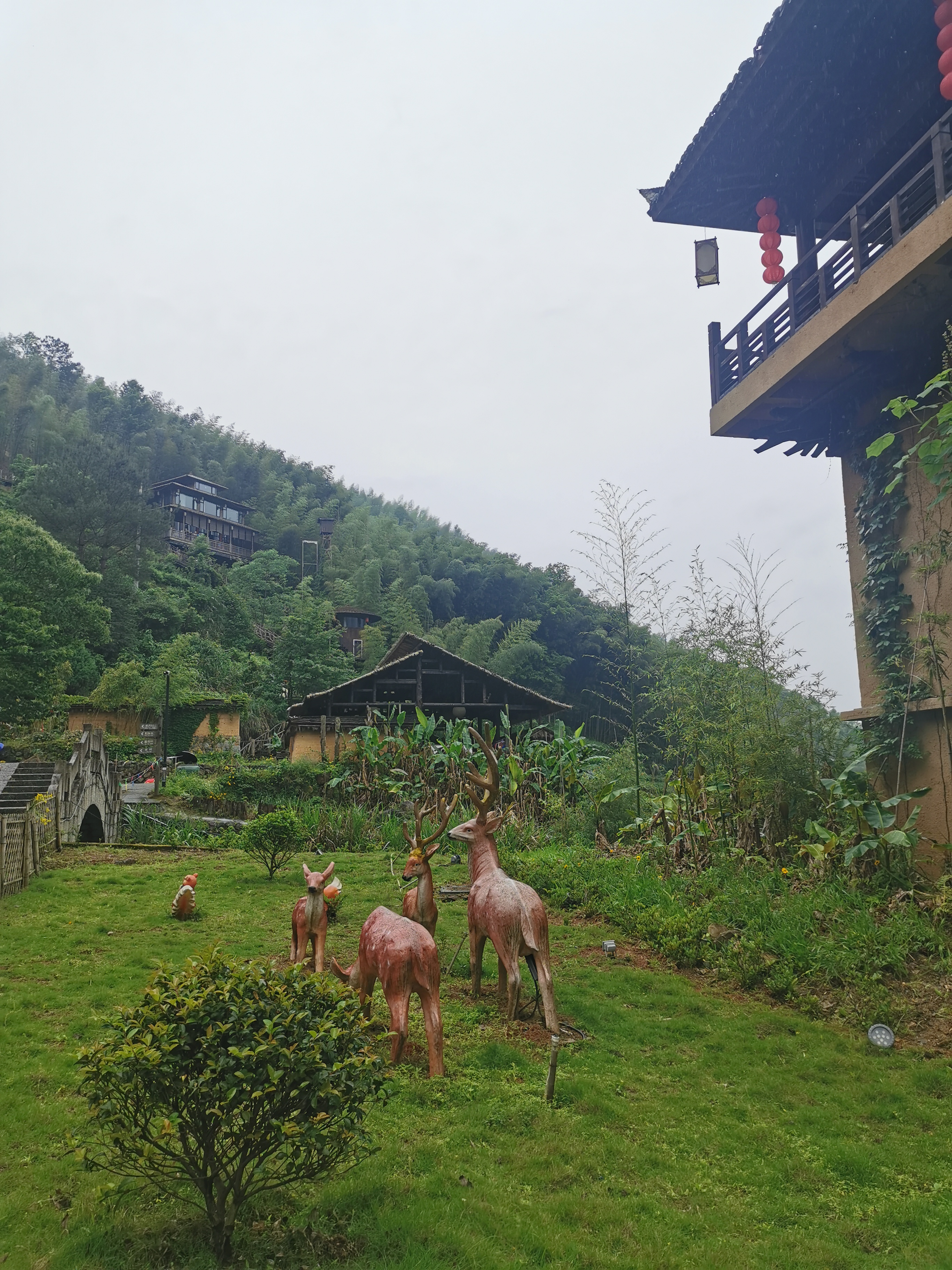 丽水之行,丽水旅游游记
