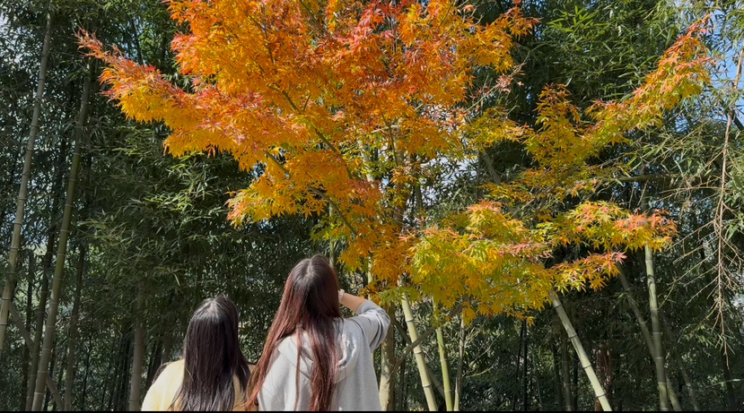指南村