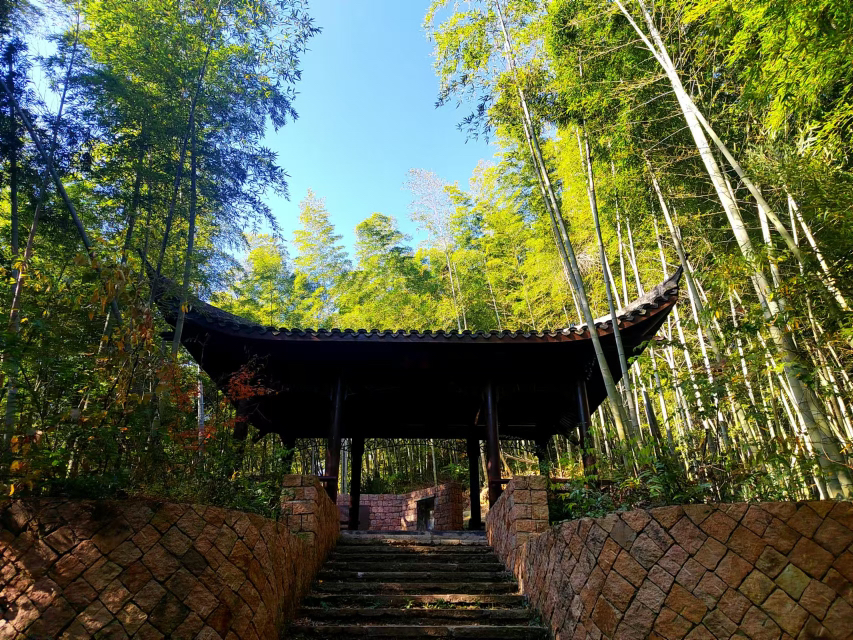 莫干山的秋季