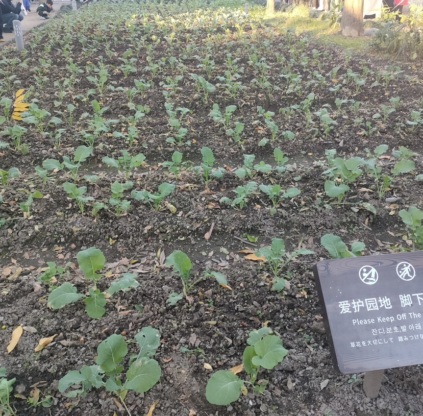 从百草园到三味书屋