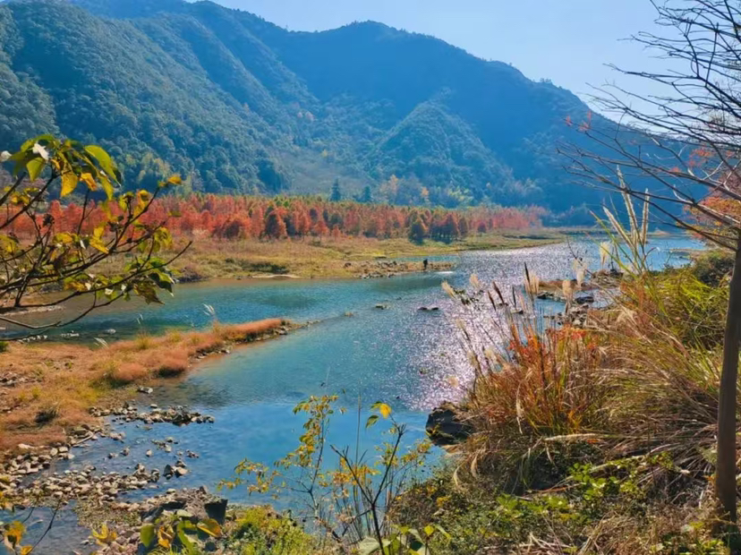 去大自然吸吸氧气 养好看睛 去去班味