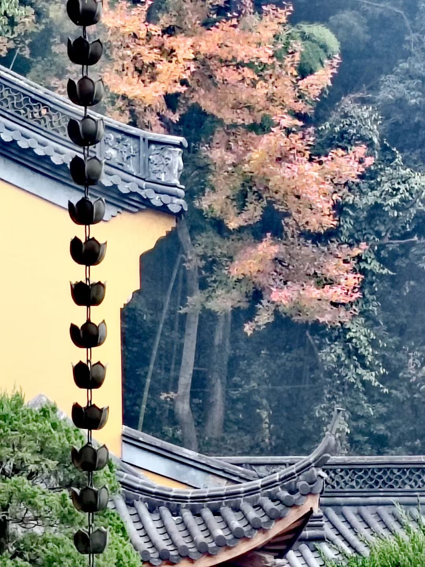 灵隐寺的秋季