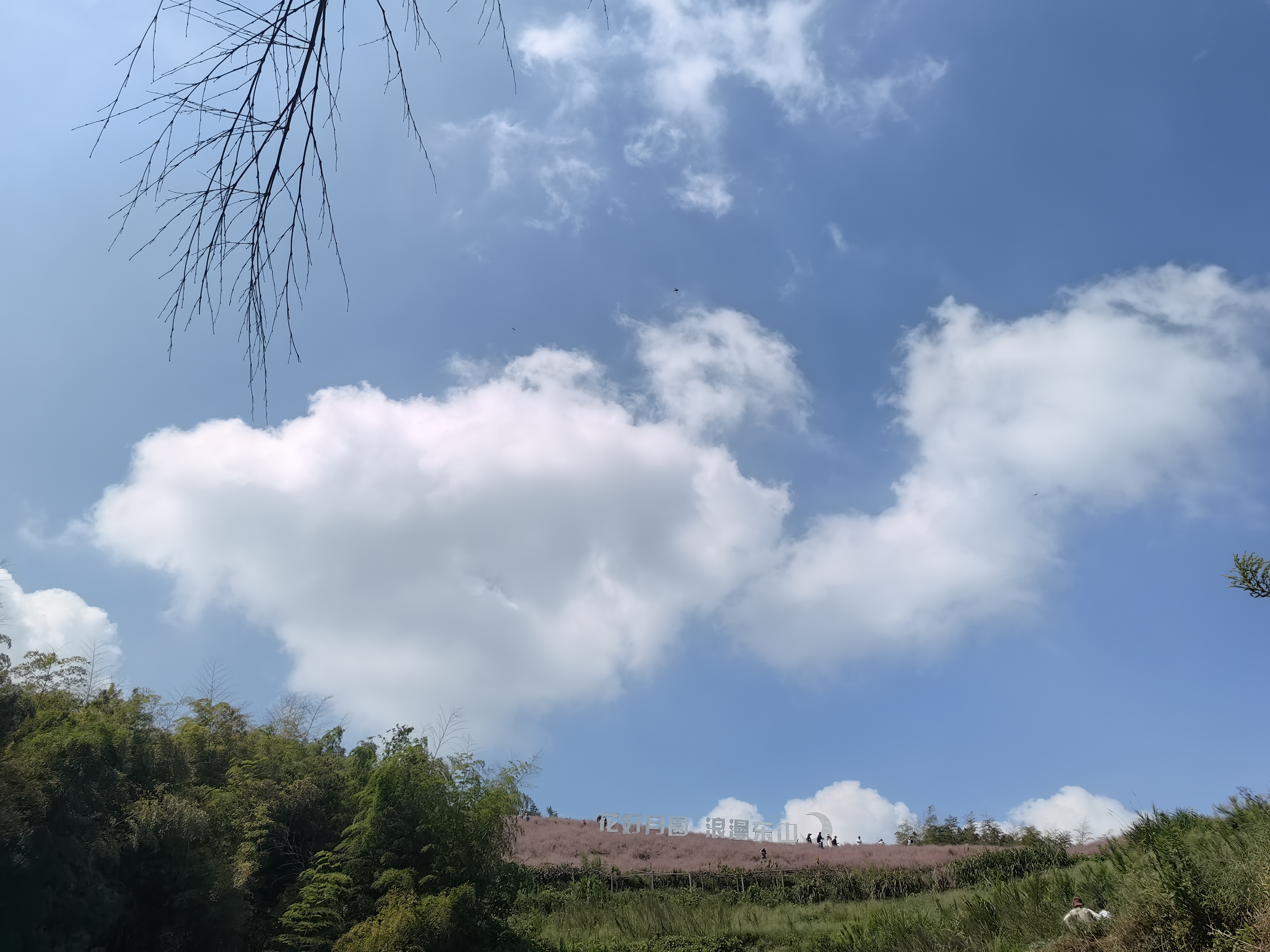 月宫古道—赏粉黛乱子草花海