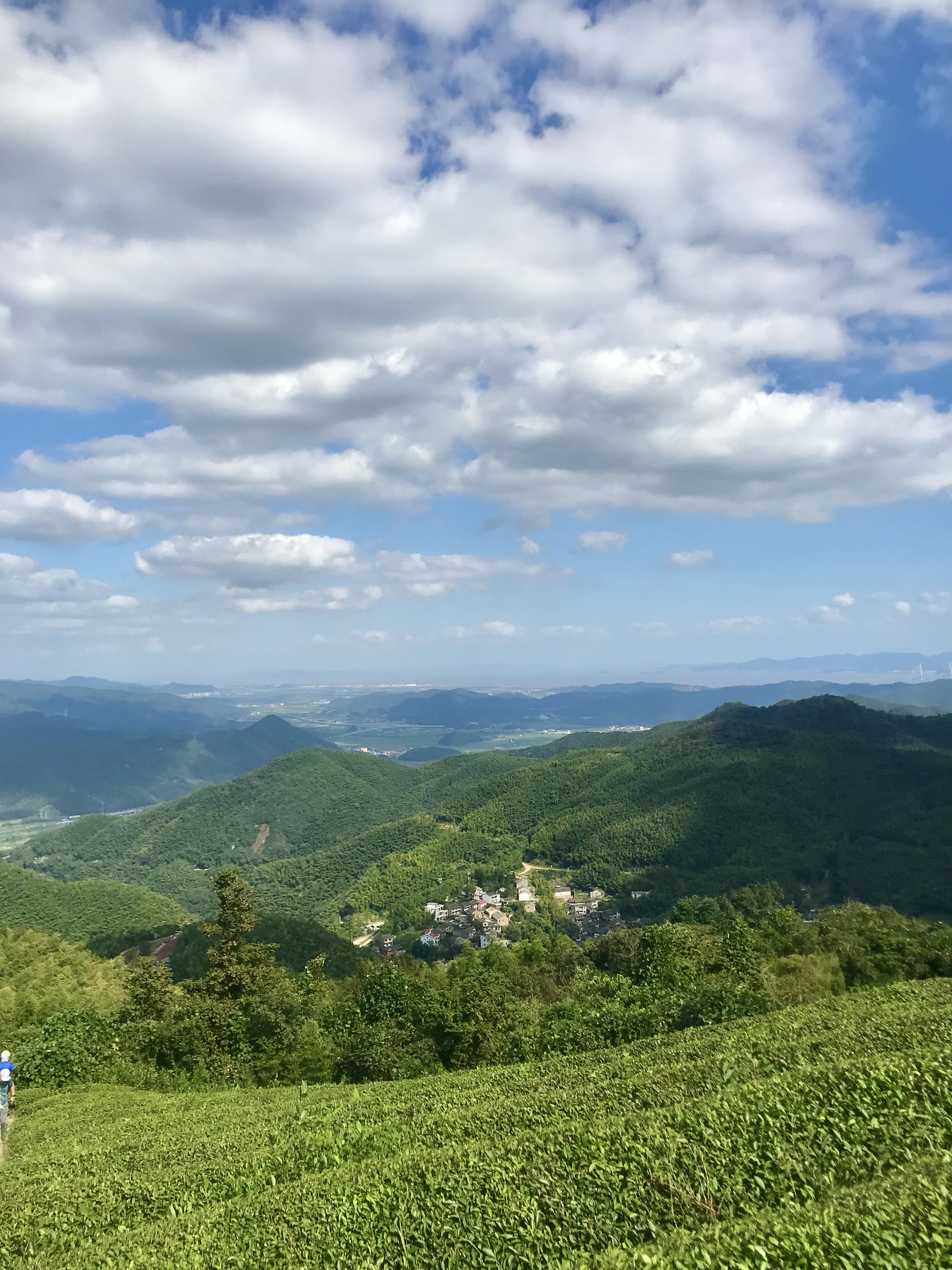 月宫古道—赏粉黛乱子草花海
