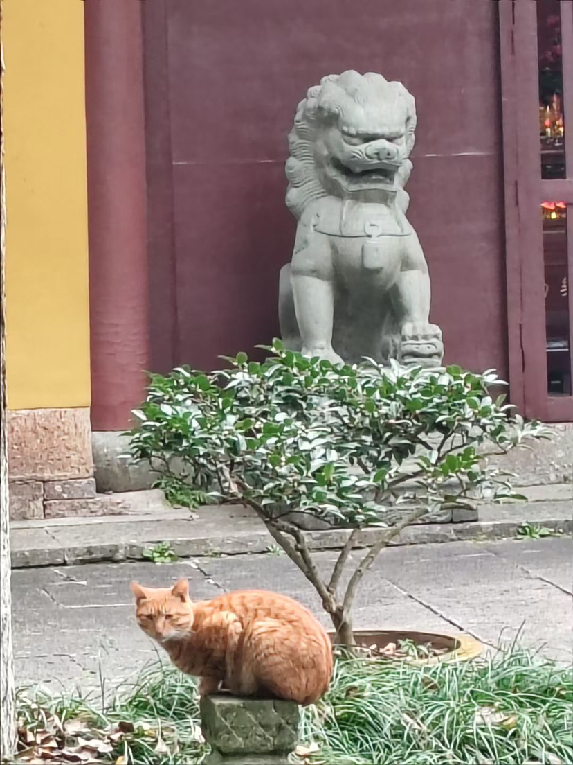 境来不拒  ，境去不留    ，所有随缘。
