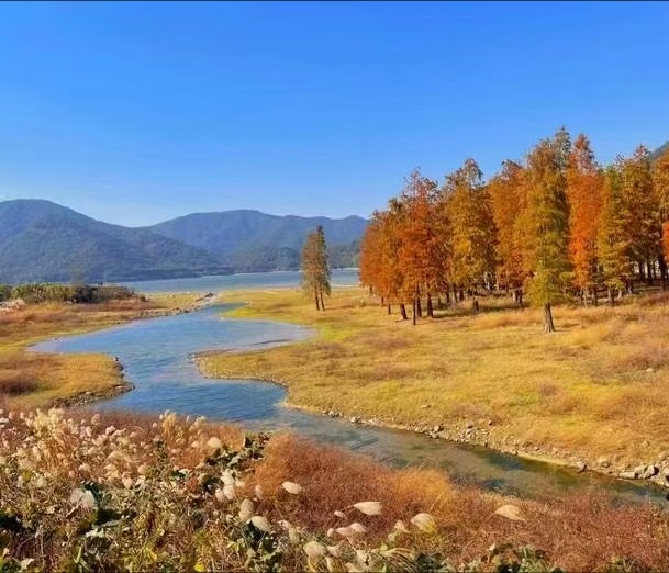 画龙村