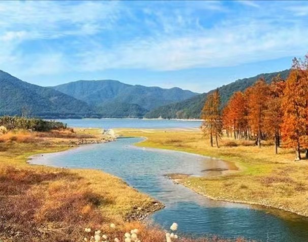 画龙村