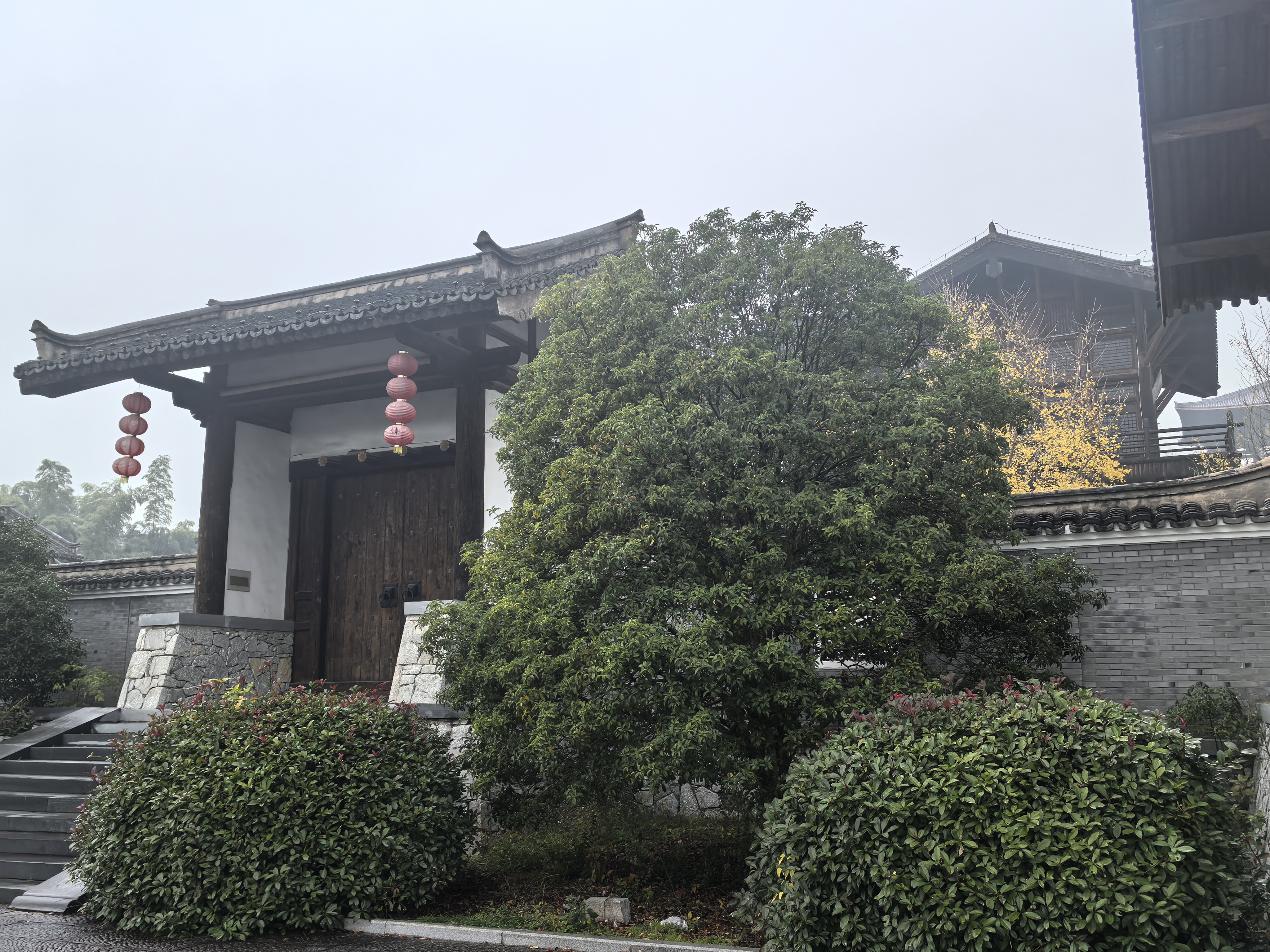 游览大唐贡茶院