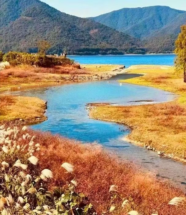 画龙村