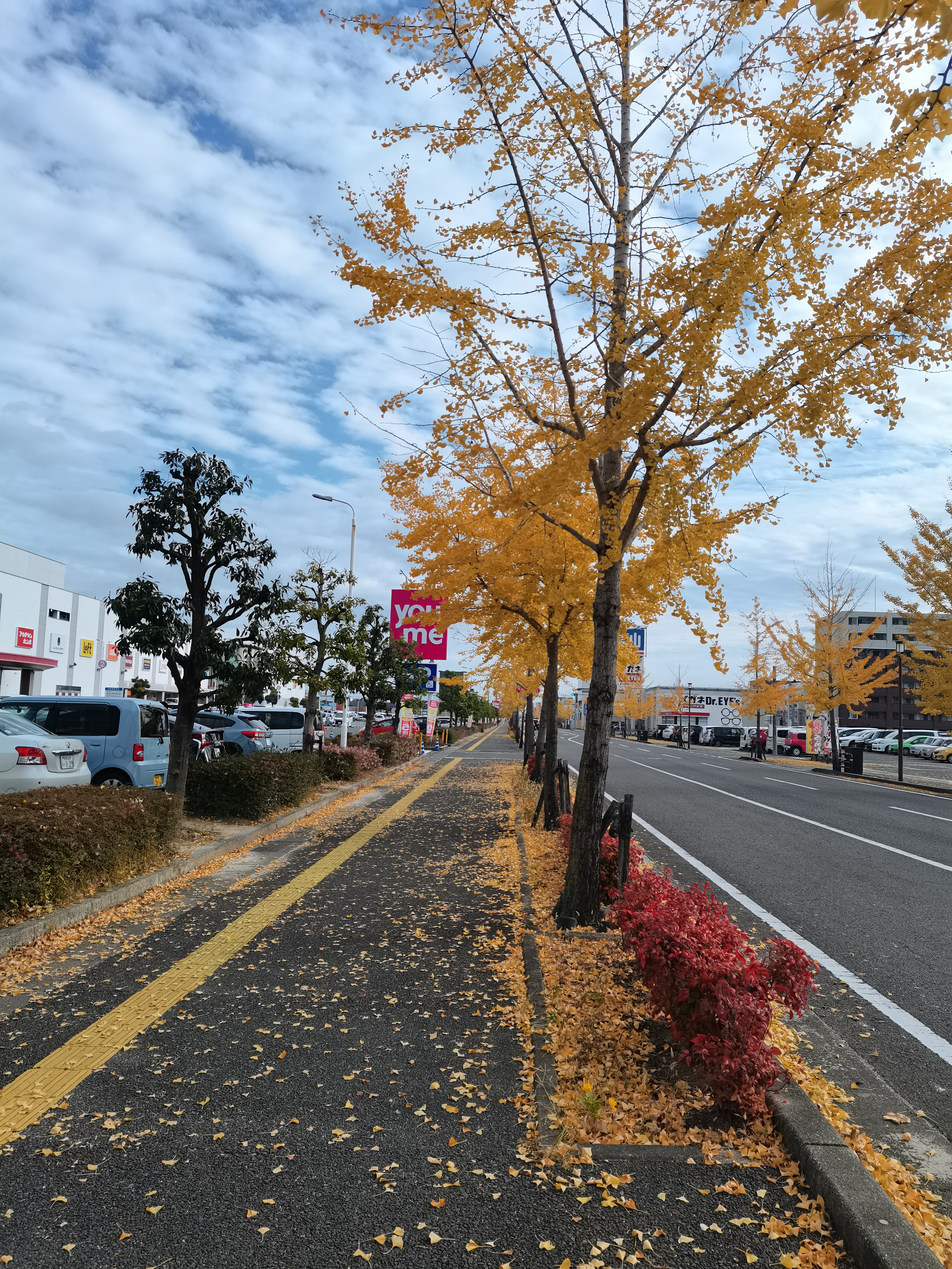 日本佐贺行