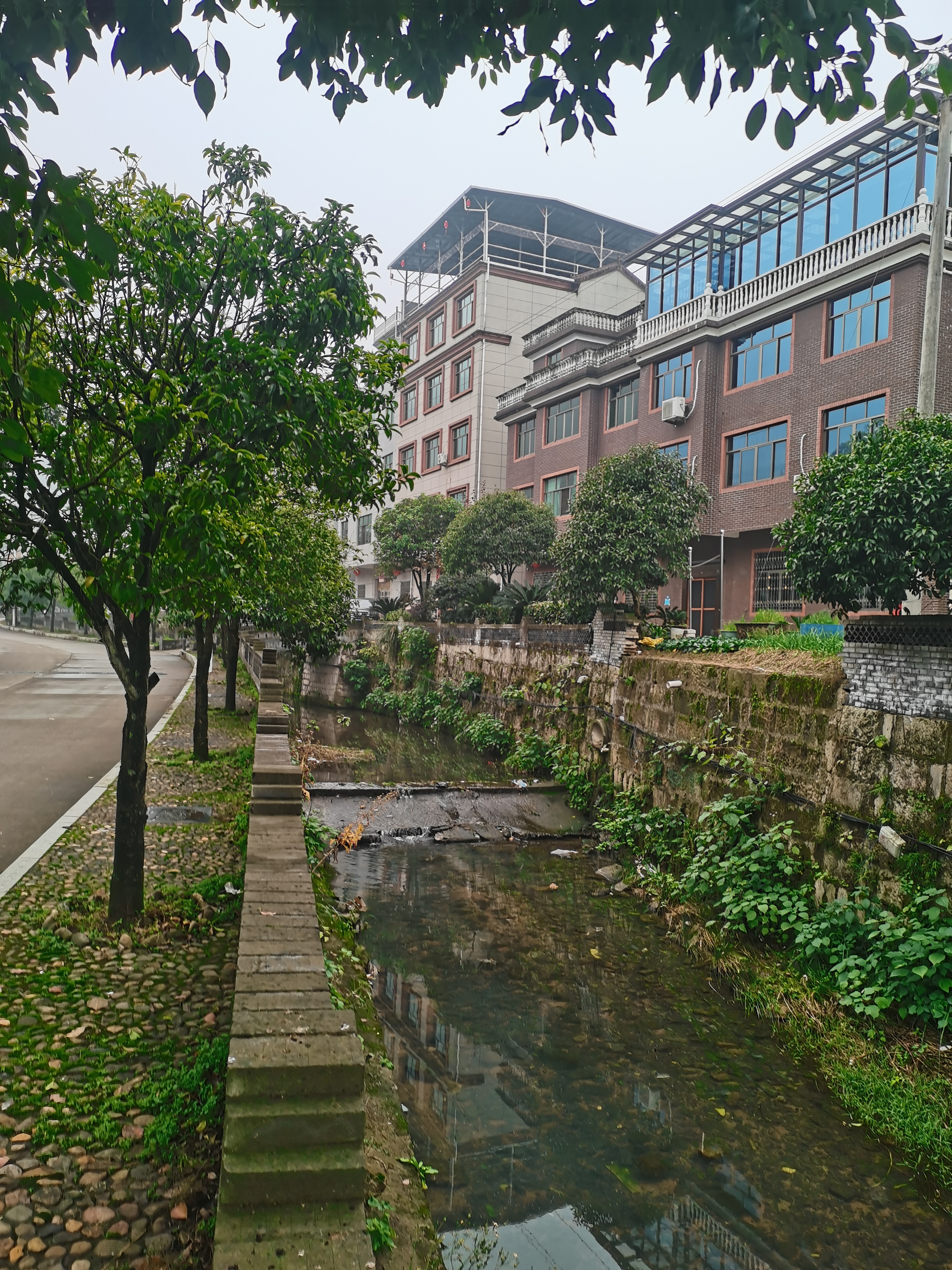龙溪山峰箬村
